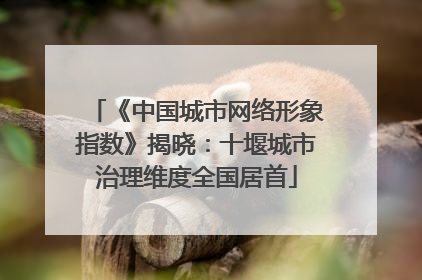 《中国城市网络形象指数》揭晓：十堰城市治理维度全国居首