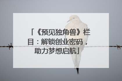 《预见独角兽》栏目：解锁创业密码，助力梦想启航