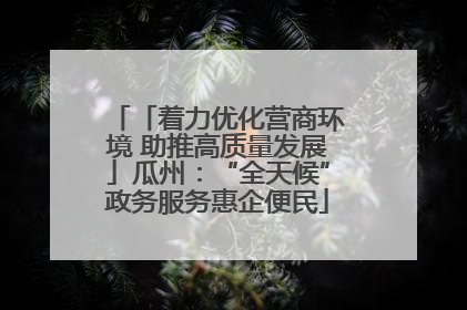 「着力优化营商环境 助推高质量发展」瓜州：“全天候”政务服务惠企便民