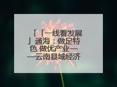「一线看发展」通海：做足特色 做优产业——云南县域经济样本观察之二