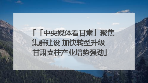 「中央媒体看甘肃」聚焦集群建设 加快转型升级 甘肃支柱产业增势强劲