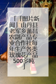 「图片新闻」山丹县老军乡蕃昌农副产品专业合作社每年生产各类玫瑰花产品500多吨