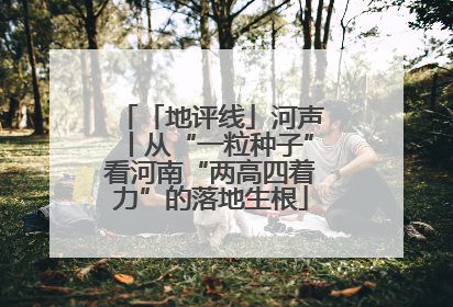 「地评线」河声丨从“一粒种子”看河南“两高四着力”的落地生根