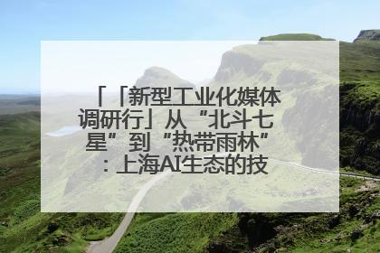 「新型工业化媒体调研行」从“北斗七星”到“热带雨林”：上海AI生态的技术商业共生密码