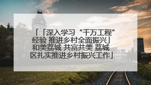 「深入学习“千万工程”经验 推进乡村全面振兴」和美荔城 共富共美 荔城区扎实推进乡村振兴工作