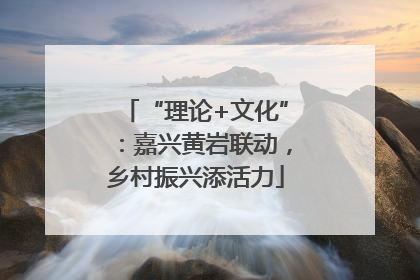 “理论+文化”：嘉兴黄岩联动，乡村振兴添活力