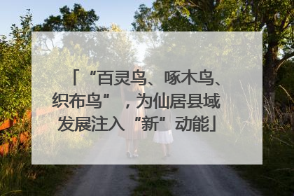 “百灵鸟、啄木鸟、织布鸟”，为仙居县域发展注入“新”动能