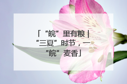 “皖”里有粮｜“三夏”时节，一“皖”麦香