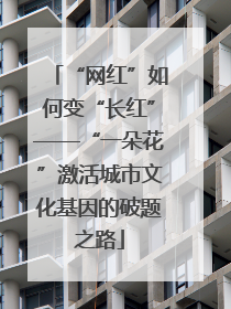 “网红”如何变“长红”——“一朵花”激活城市文化基因的破题之路