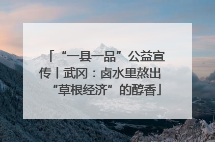 “一县一品”公益宣传丨武冈：卤水里熬出“草根经济”的醇香
