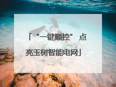 “一键顺控” 点亮玉树智能电网