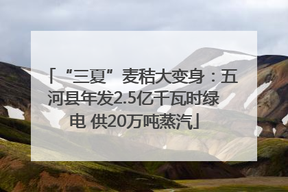 “三夏”麦秸大变身：五河县年发2.5亿千瓦时绿电 供20万吨蒸汽