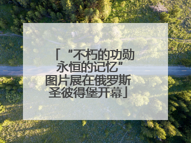 “不朽的功勋 永恒的记忆”图片展在俄罗斯圣彼得堡开幕