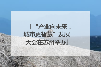 “产业向未来，城市更智慧”发展大会在苏州举办