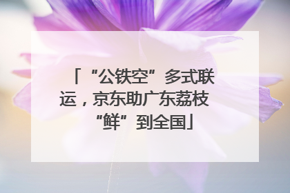“公铁空”多式联运，京东助广东荔枝“鲜”到全国