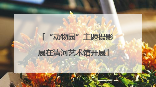 “动物园”主题摄影展在清河艺术馆开展