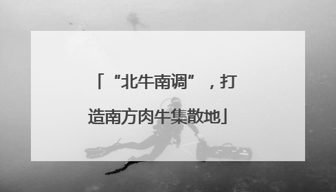 “北牛南调”，打造南方肉牛集散地