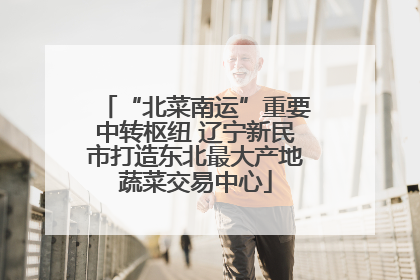 “北菜南运”重要中转枢纽 辽宁新民市打造东北最大产地蔬菜交易中心