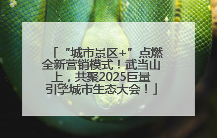 “城市景区+”点燃全新营销模式！武当山上，共聚2025巨量引擎城市生态大会！