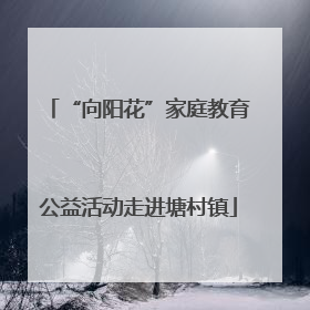 “向阳花”家庭教育公益活动走进塘村镇