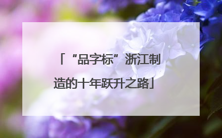 “品字标”浙江制造的十年跃升之路