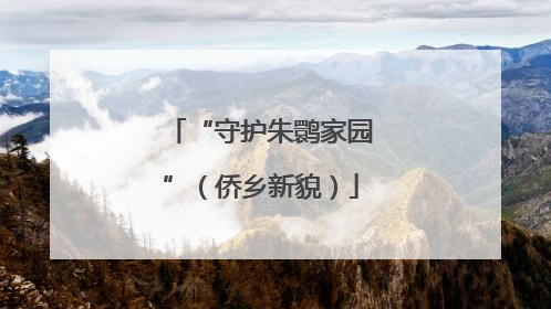 “守护朱鹮家园”（侨乡新貌）
