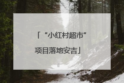 “小红村超市”项目落地安吉