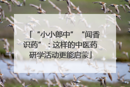 “小小郎中”“闻香识药”：这样的中医药研学活动更能启蒙