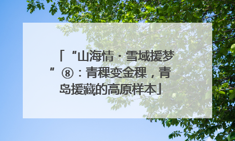 “山海情・雪域援梦”⑧：青稞变金稞，青岛援藏的高原样本