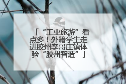 “工业旅游”看点多！外籍学生走进胶州李哥庄镇体验“胶州智造”