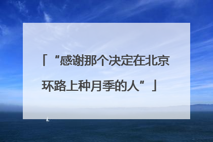 “感谢那个决定在北京环路上种月季的人”
