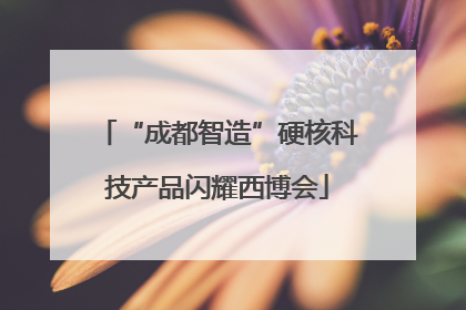 “成都智造”硬核科技产品闪耀西博会