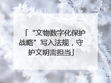 “文物数字化保护战略”写入法规，守护文明需担当