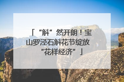 “斛”然开朗！宝山罗泾石斛花节绽放“花样经济”