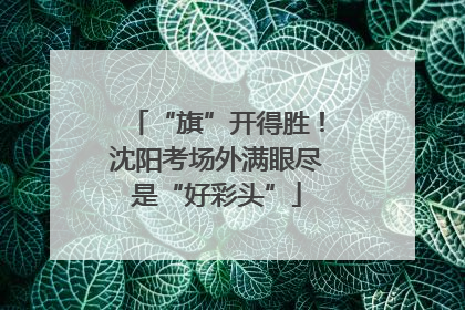 “旗”开得胜！沈阳考场外满眼尽是“好彩头”