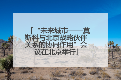 “未来城市——莫斯科与北京战略伙伴关系的协同作用”会议在北京举行