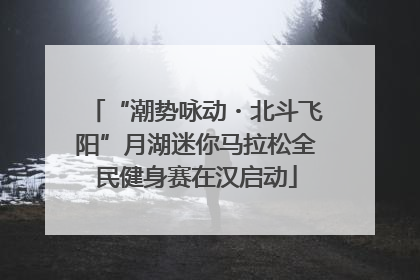 “潮势咏动・北斗飞阳”月湖迷你马拉松全民健身赛在汉启动