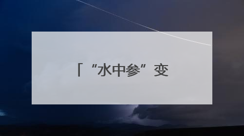 “水中参”变成“致富宝” 南漳八泉村千亩茭白喜获丰收