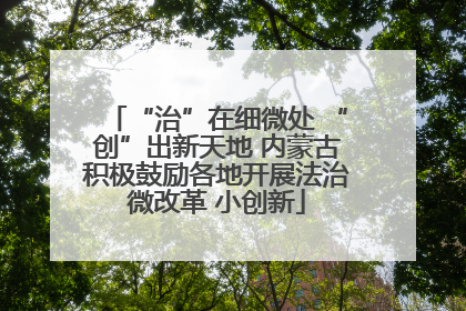 “治”在细微处 “创”出新天地 内蒙古积极鼓励各地开展法治微改革 小创新