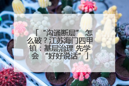 “沟通断层” 怎么破？江苏海门四甲镇：基层治理 先学会 “好好说话”