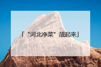 “河北净菜”靓起来