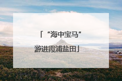 “海中宝马”游进霞浦盐田