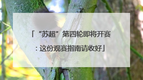 “苏超”第四轮即将开赛：这份观赛指南请收好