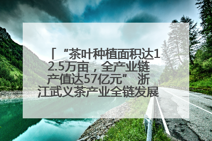 “茶叶种植面积达12.5万亩，全产业链产值达57亿元” 浙江武义茶产业全链发展“加速度”