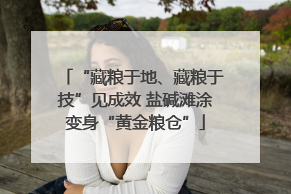 “藏粮于地、藏粮于技”见成效 盐碱滩涂变身“黄金粮仓”