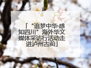 “追梦中华·感知四川”海外华文媒体采访行活动走进泸州古蔺