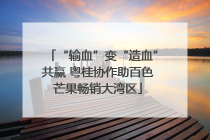 “输血”变“造血”共赢 粤桂协作助百色芒果畅销大湾区