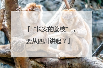 “长安的荔枝”，要从四川讲起？