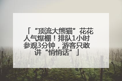 “顶流大熊猫”花花人气爆棚！排队1小时参观3分钟，游客只敢讲“悄悄话”