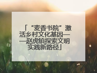 “麦香书院”激活乡村文化基因——赵虎镇探索文明实践新路径
